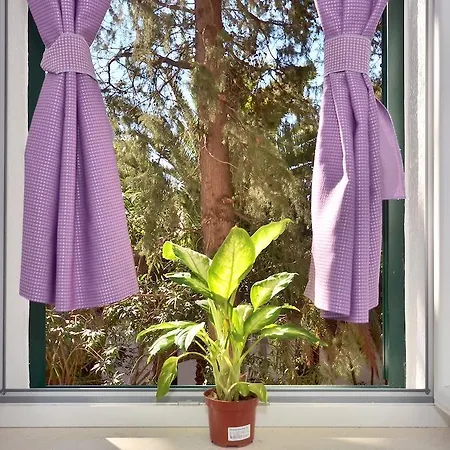 Apartamento - Centre Anka *